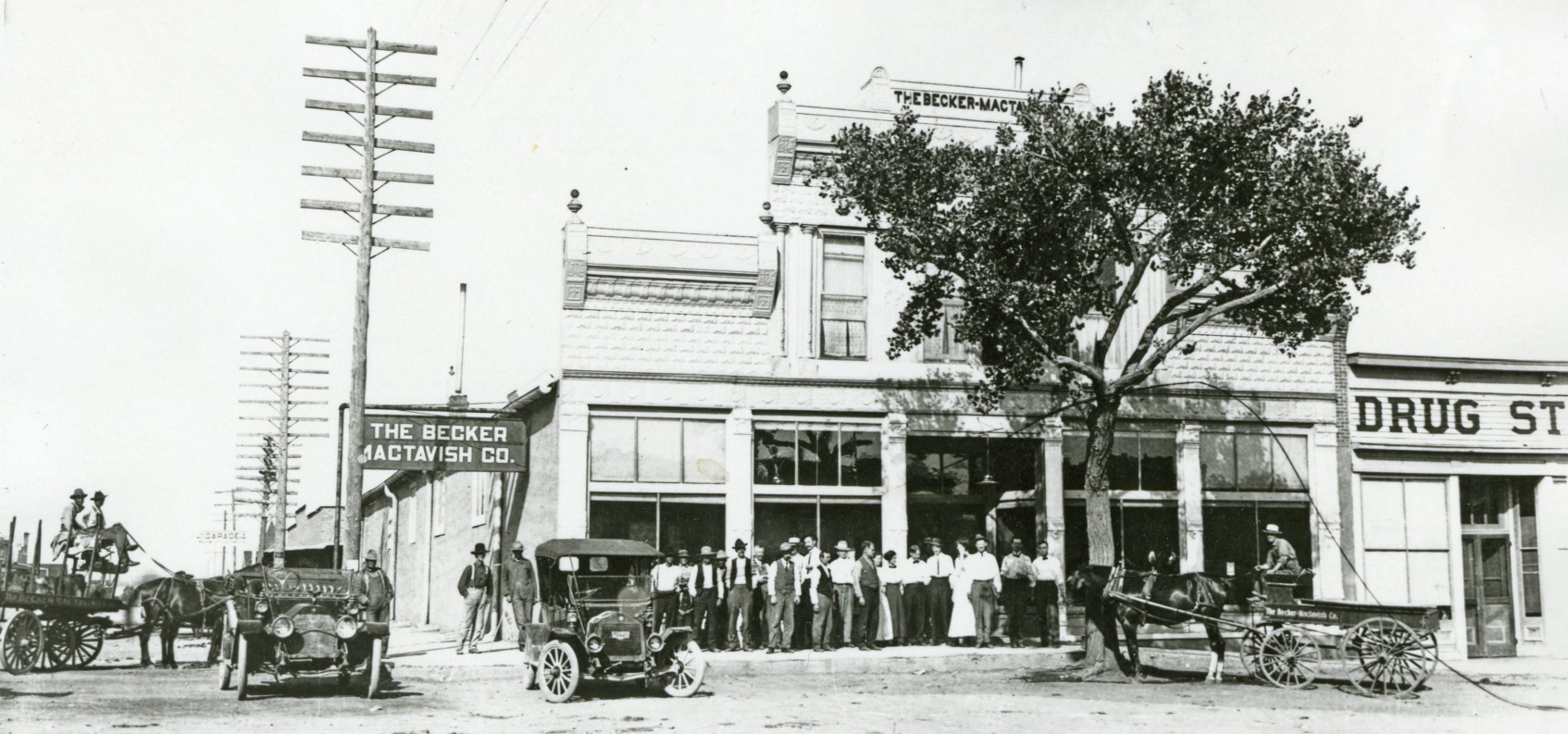 New Mexico Dealer License Plates